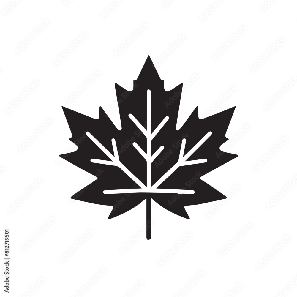 leaf silhouette and leaf icon on white background