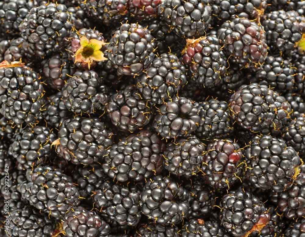 a lot of small whole raspberries texture close up a lot of small whole raspberries texture close up