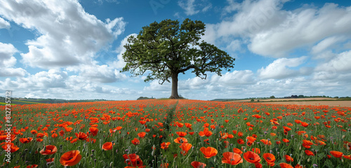 A single oak standing tall in a poppy field on Memorial Day, showcasing resilience and strength. photo