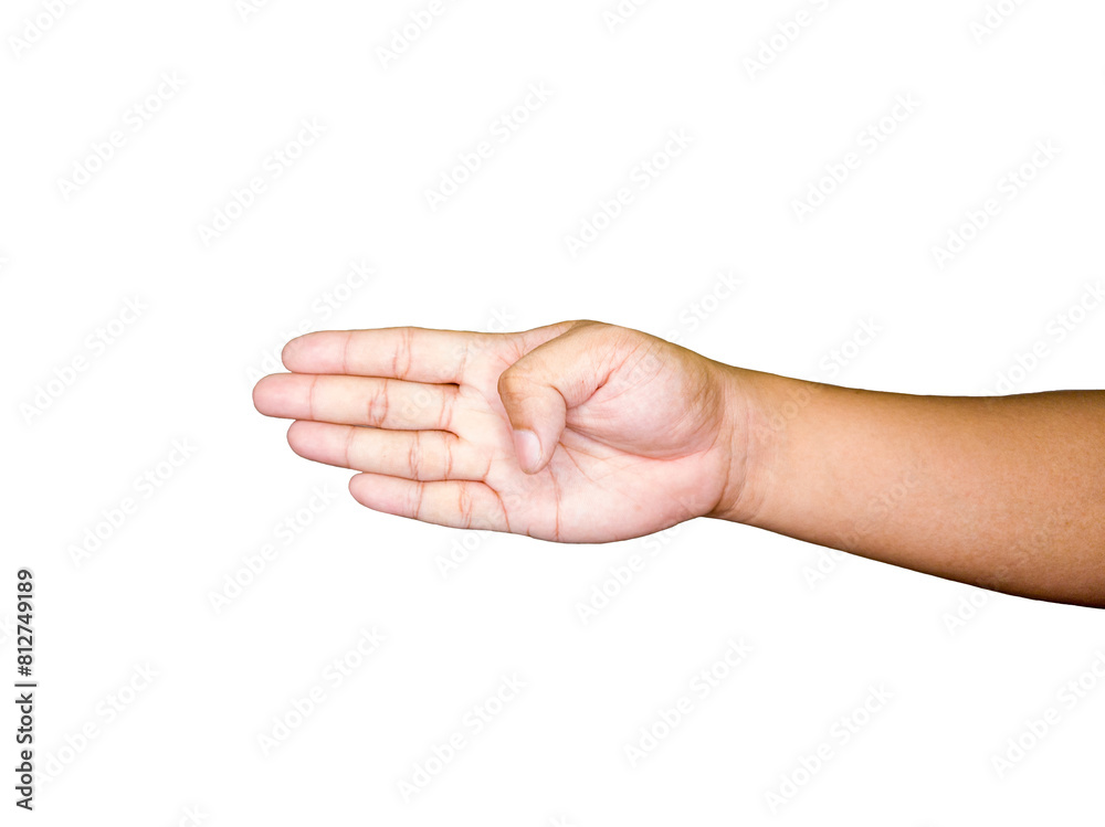 Human hand isolated on a white background with clipping path.
Put hand up how four fingers. Human hand isolated on a white background with clipping path.
Put hand up how four fingers.
