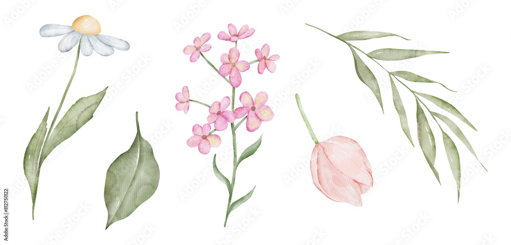 Set of watercolor elements flower collection. Hand drawn floral illustrations isolated on white background Set of watercolor elements flower collection. Hand drawn floral illustrations isolated on white background