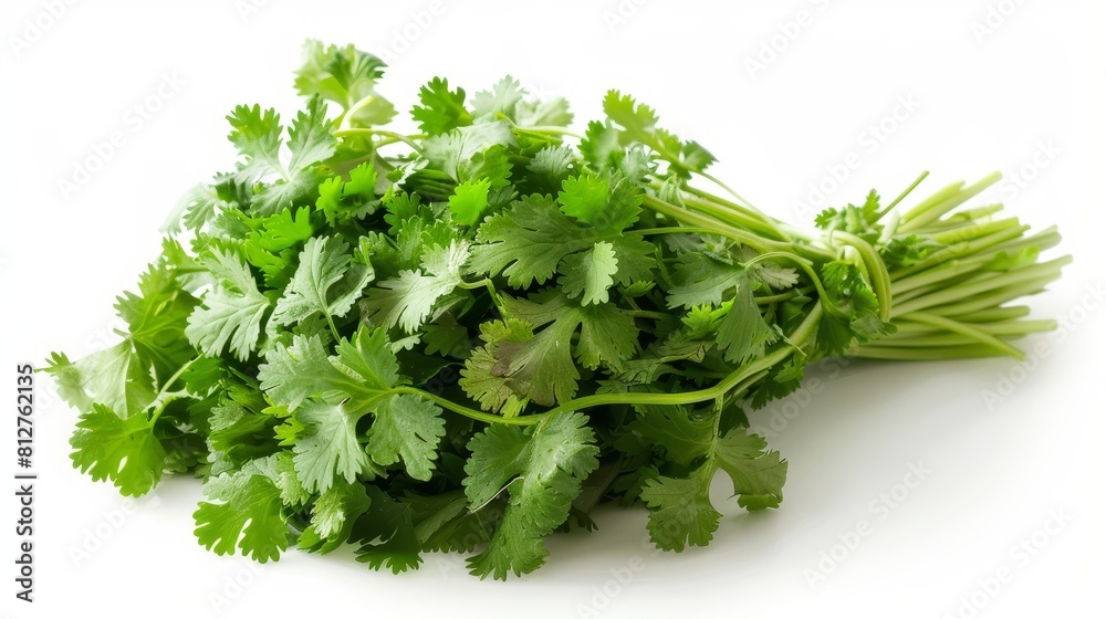Fresh coriander leaves isolated on white background. Fresh coriander leaves isolated on white background.