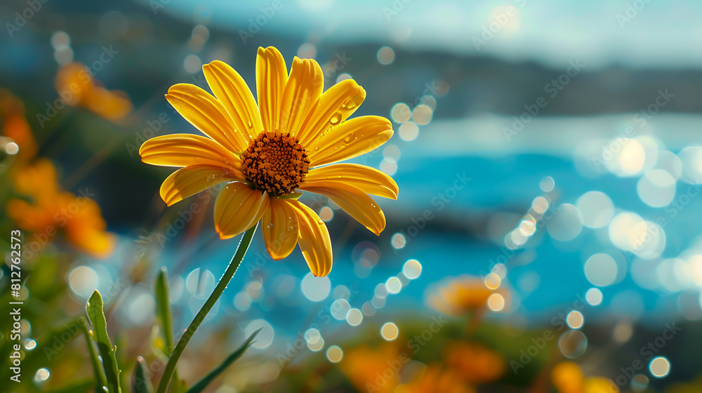 Sunny Yellow Flower by the Water Sunny Yellow Flower by the Water