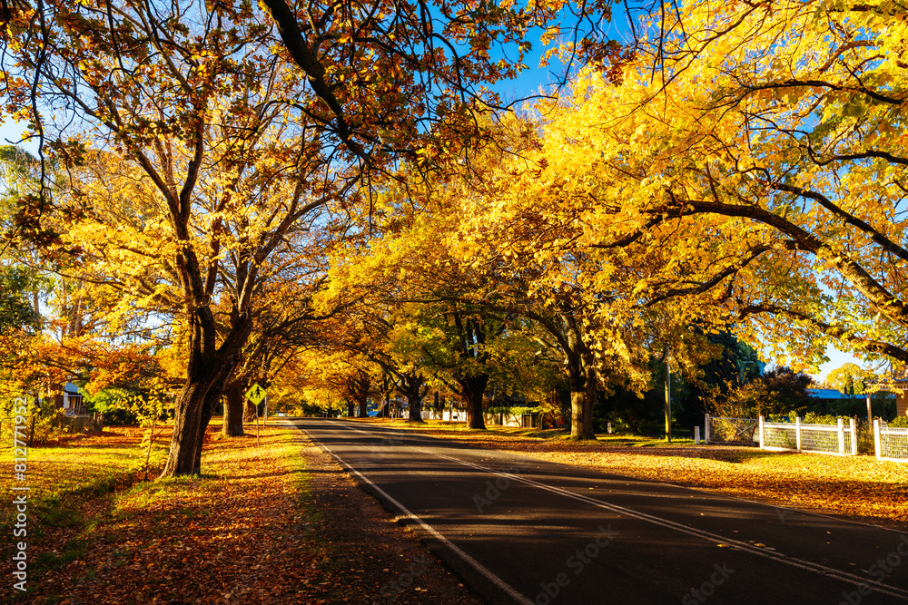 Glenlyon Main Street in Victoria Australia Glenlyon Main Street in Victoria Australia