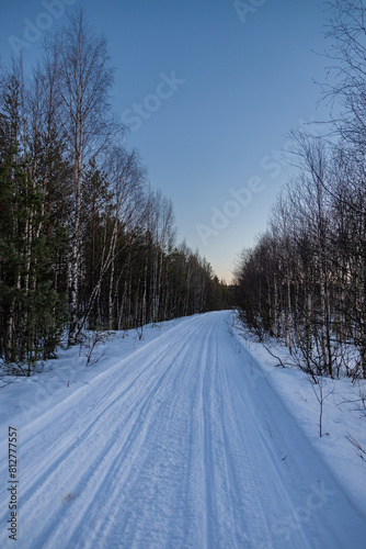 snowmobile tracks in north sweden