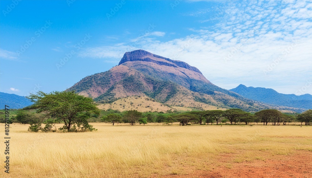 african savanna with mountain in national wild park