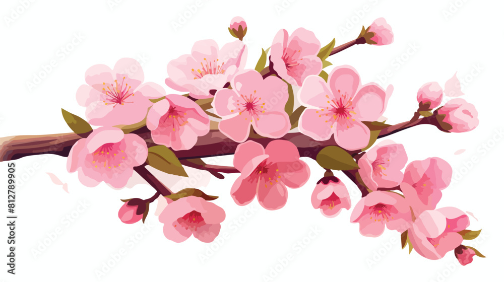 Branch of blooming sakura with flowers cherry bloss
