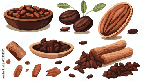 Cacao fruit beans and powder set of style vector il