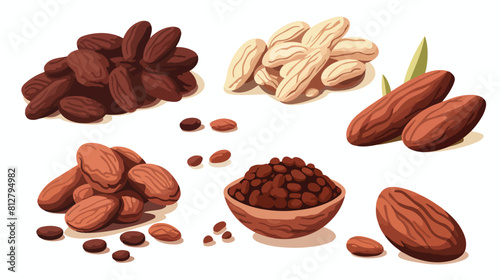 Cacao fruit beans and powder set of style vector il