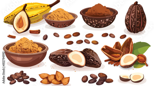 Cacao fruit beans and powder set of style vector il photo