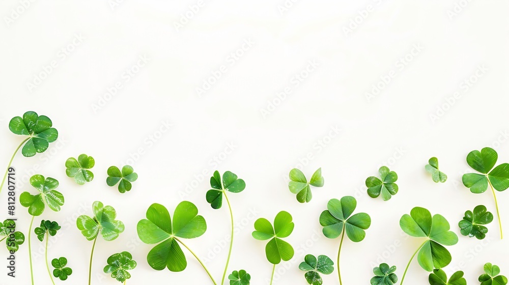 Green four leaf clover creative layout isolated on white background Lucky clover banner border composition St Patrick day Top view flat lay Design element : Generative AI Green four leaf clover creative layout isolated on white background Lucky clover banner border composition St Patrick day Top view flat lay Design element : Generative AI
