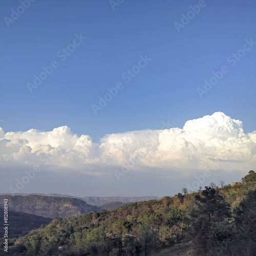 Landscape view of Kangra with pine tree Distt. Velley Evening View Himachal Pradesh india 02 photo