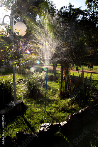 Beautiful lus generated by a small garden water sprinkler photo