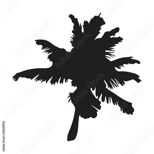 Black palm tree shape, silhouette