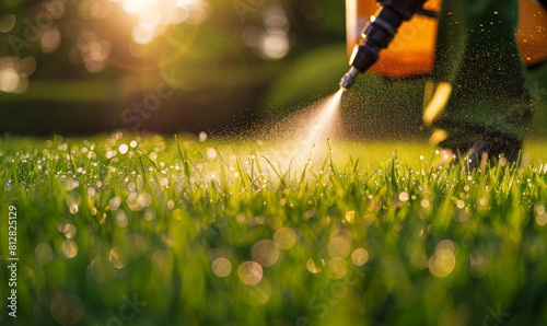 Worker spraying insecticide on green lawn outdoors for pest control
