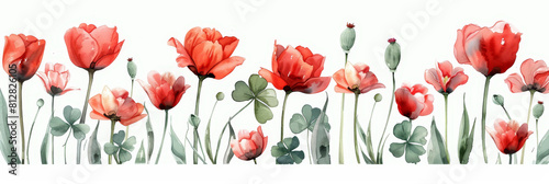 A watercolor showcasing a bunch of soft light pastel tulips and clover against a white background  with a long field of clipart-style poppies in the background  bringing a lively and vivid touch to