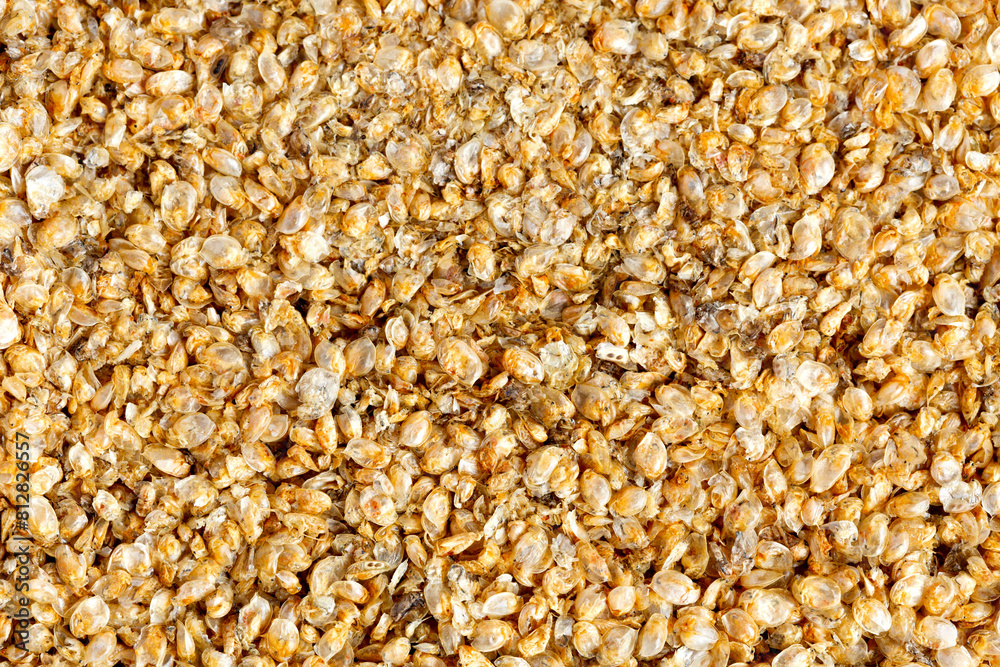 Dry food Daphnia for aquarium fish feed. background. Top view Dry food Daphnia for aquarium fish feed. background. Top view