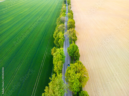 Aerial view of road through fields, one side lush grass, other side prepared for sowing. Drone shot captures rural landscape.
