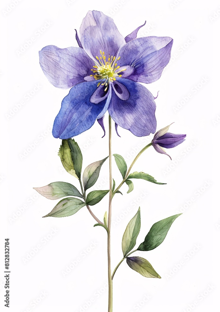 Fototapeta premium Colorful Digital Floral Illustration of a Single Flower with Texture and Watercolor Effects