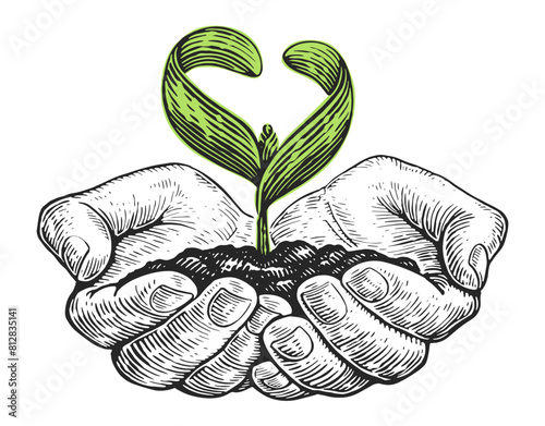 Hands plant seedlings in the soil. Earth day ecology concept, protection of nature and environment