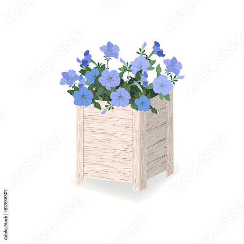 Bouquet of blue flowers petunia, buds and green leaves in the box. Isolated on white background.