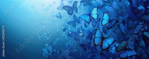 butterfly background. Background of delicate blue butterflies on a blue background with copy space