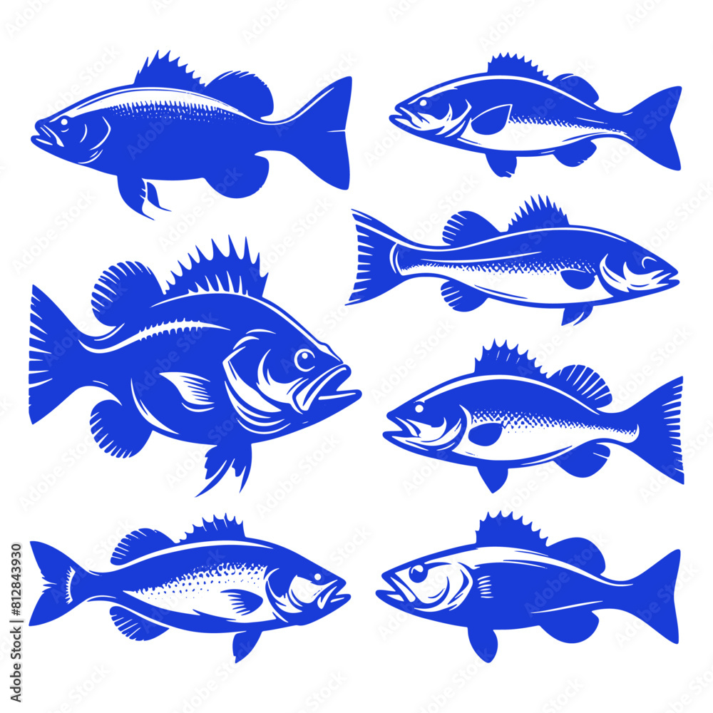 set of silhouettes Bass Fish VECTOR set of silhouettes Bass Fish VECTOR