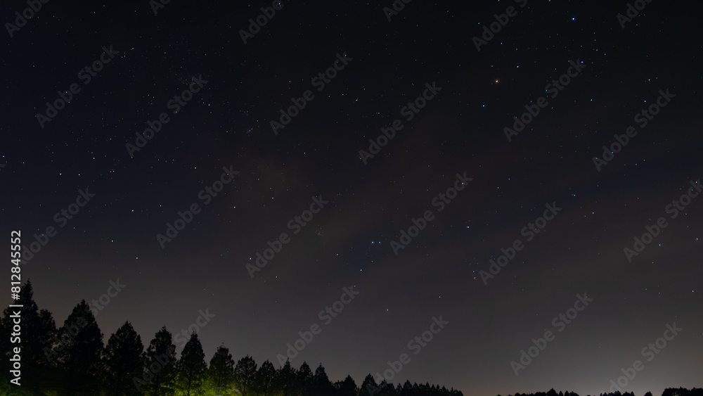 Fototapeta premium 宇宙の輝きと木々の静寂