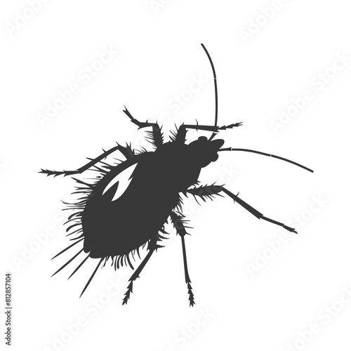 Silhouette lice animal black color only