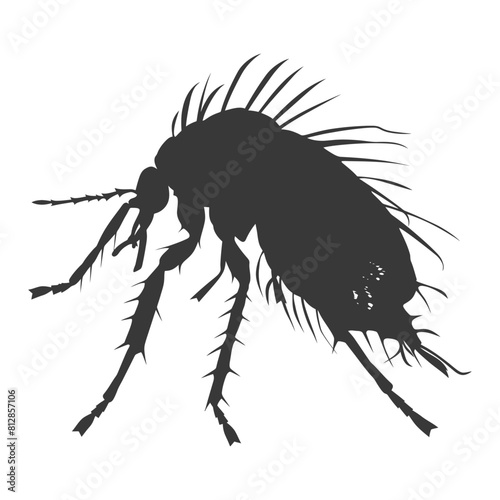 Silhouette lice animal black color only