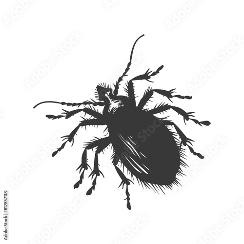 Silhouette lice animal black color only