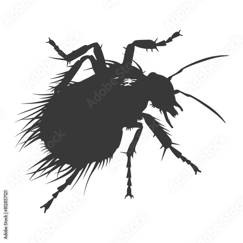 Silhouette lice animal black color only