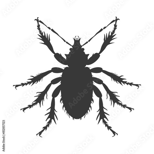 Silhouette lice animal black color only