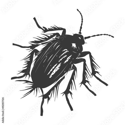 Silhouette lice animal black color only