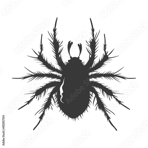 Silhouette lice animal black color only