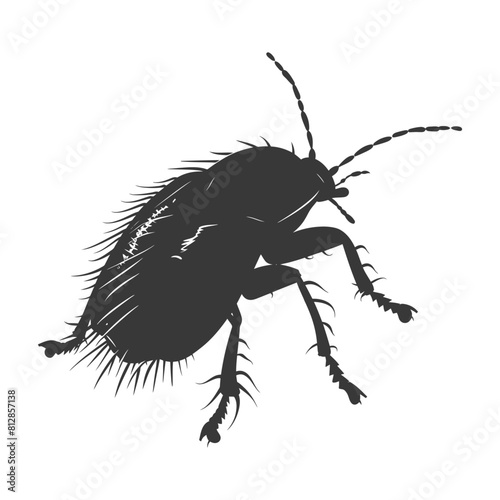 Silhouette lice animal black color only