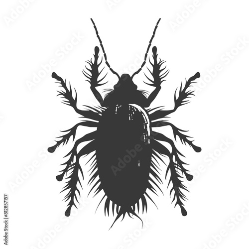 Silhouette lice animal black color only