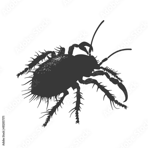 Silhouette lice animal black color only