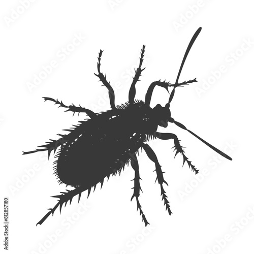 Silhouette lice animal black color only