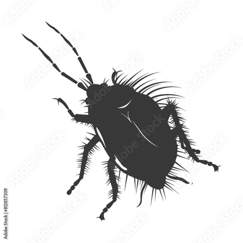 Silhouette lice animal black color only