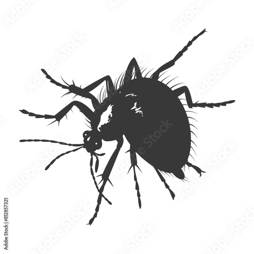 Silhouette lice animal black color only