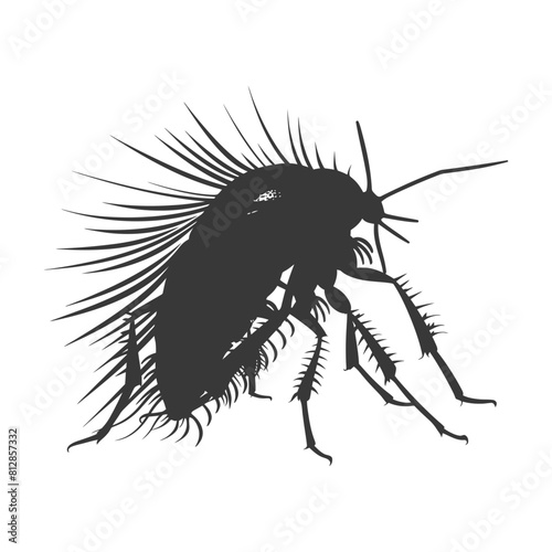 Silhouette lice animal black color only