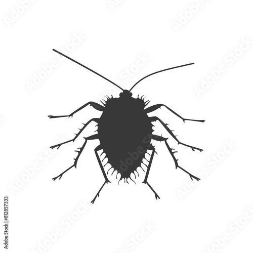 Silhouette lice animal black color only