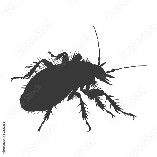 Silhouette lice animal black color only