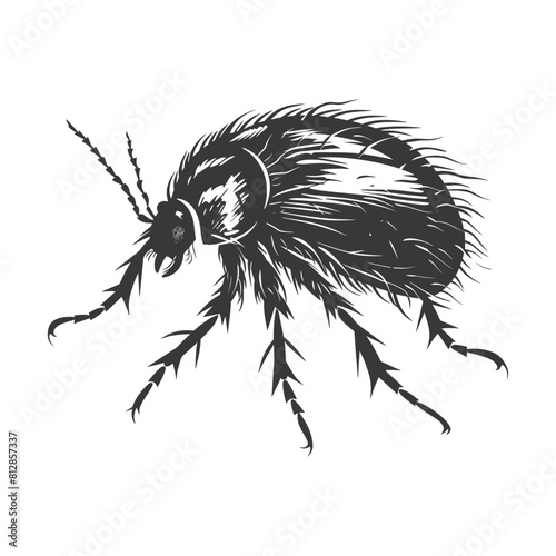 Silhouette lice animal black color only