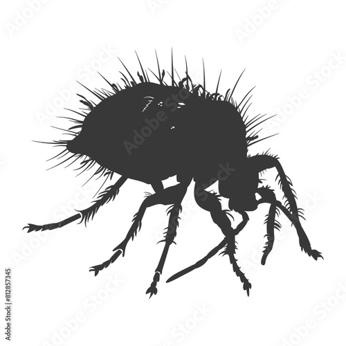 Silhouette lice animal black color only
