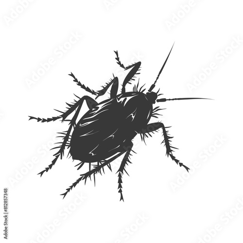 Silhouette lice animal black color only