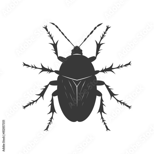 Silhouette lice animal black color only