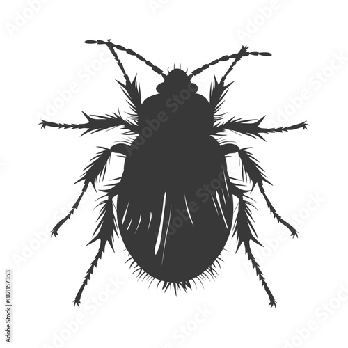 Silhouette lice animal black color only