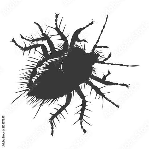 Silhouette lice animal black color only
